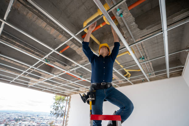 Best Clogged Drain Plumber  in Edgemoor, DE