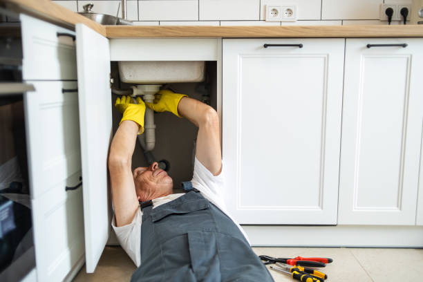 Best Residential Plumbing Services  in Edgemoor, DE