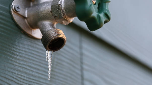 Best Drain Cleaning Services  in Edgemoor, DE